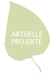 Aktuelle Projekte
